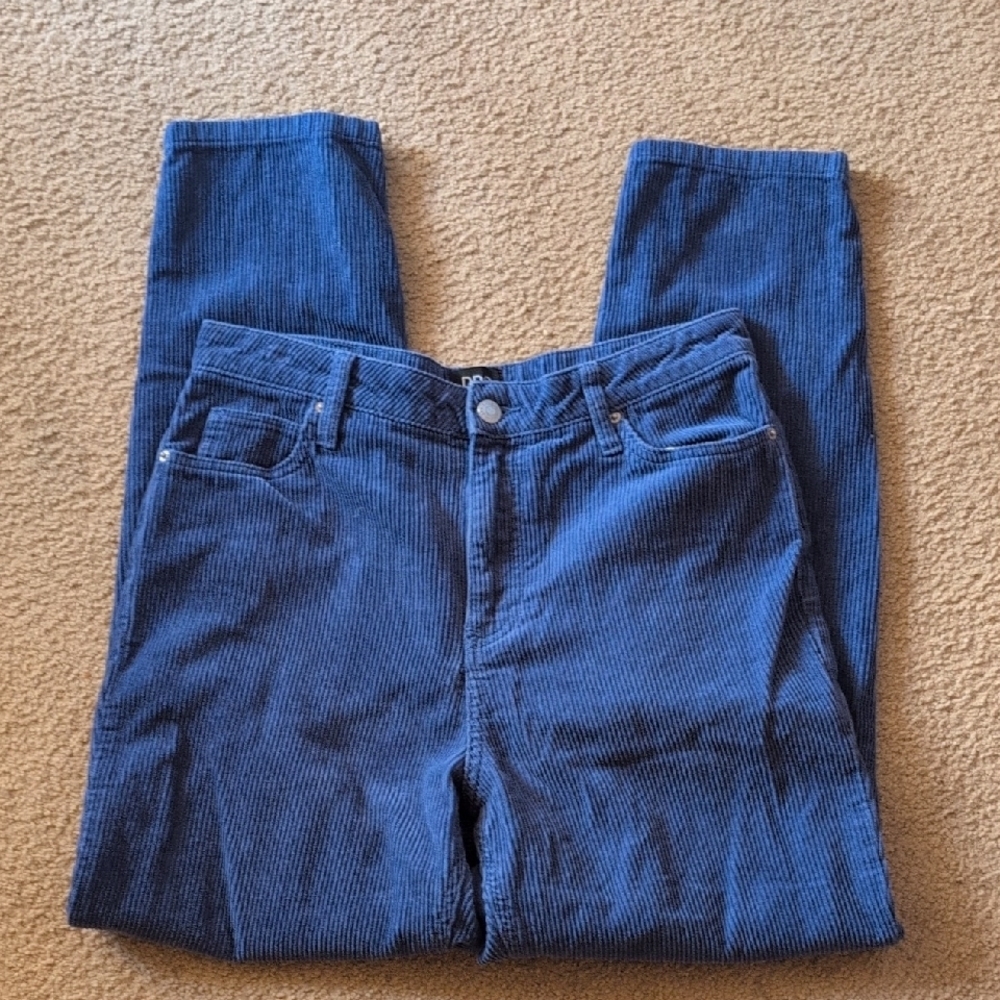 BDG Blue Mom High Rise Corduroy Pants Size 29